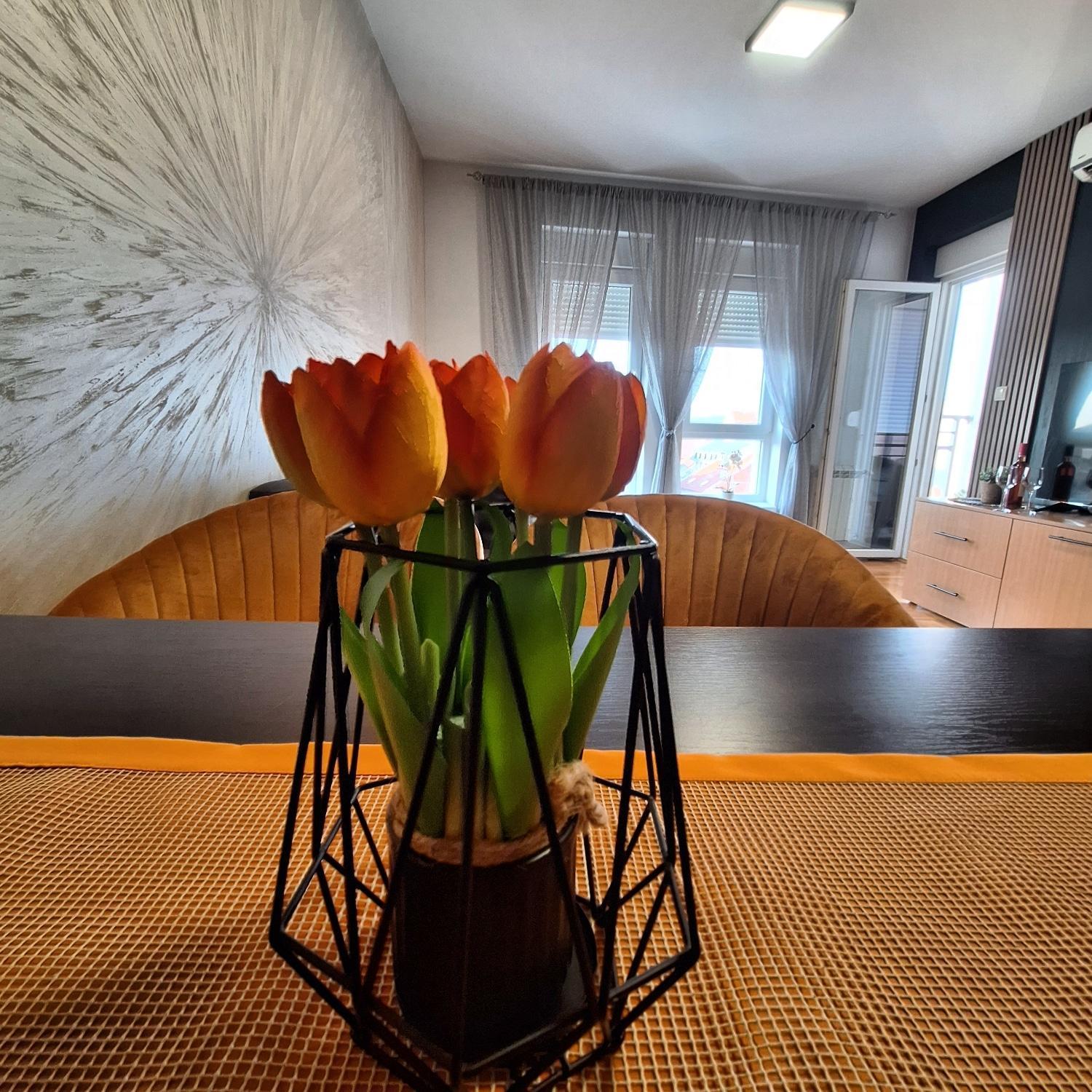 Stan Na Dan Aurora Daire Požarevac Dış mekan fotoğraf