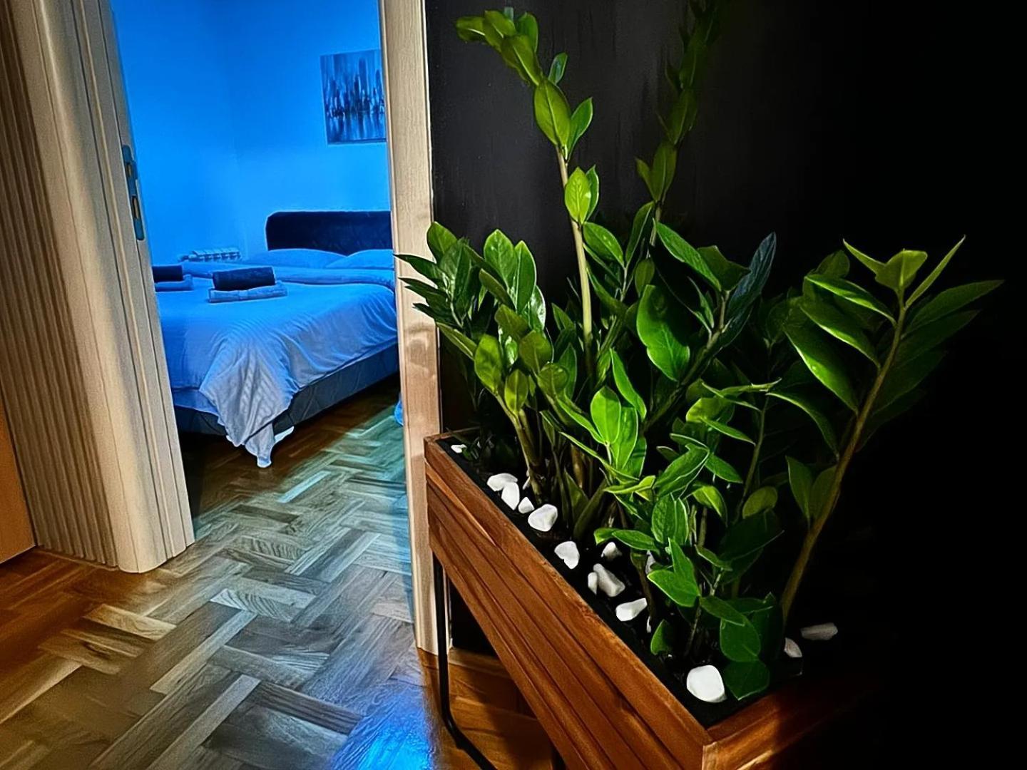 Stan Na Dan Aurora Daire Požarevac Dış mekan fotoğraf